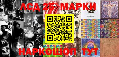 гидропоника Можга