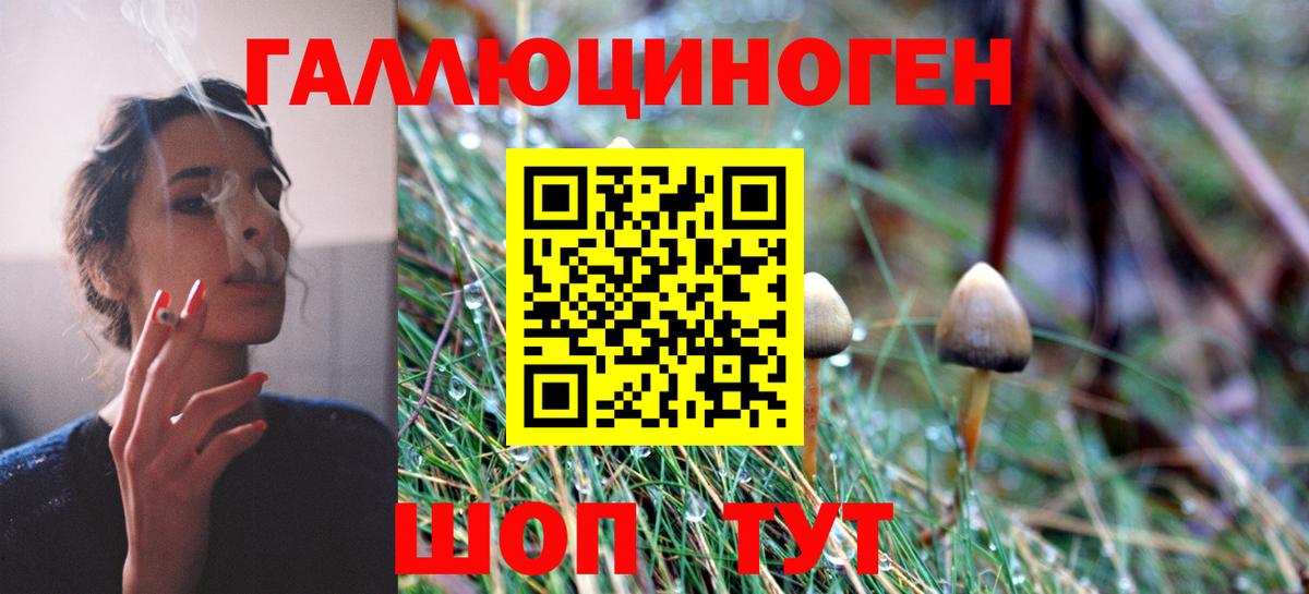 Галлюциногенные грибы MAGIC MUSHROOMS  Вход с VPN  Шарыпово  Галлюциногенные грибы ЛСД 